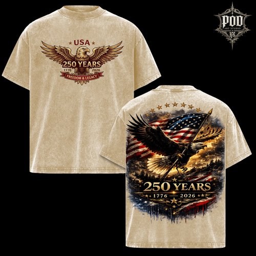 America 250 Years Semiquincentennial Heavyweight Vintage Tee