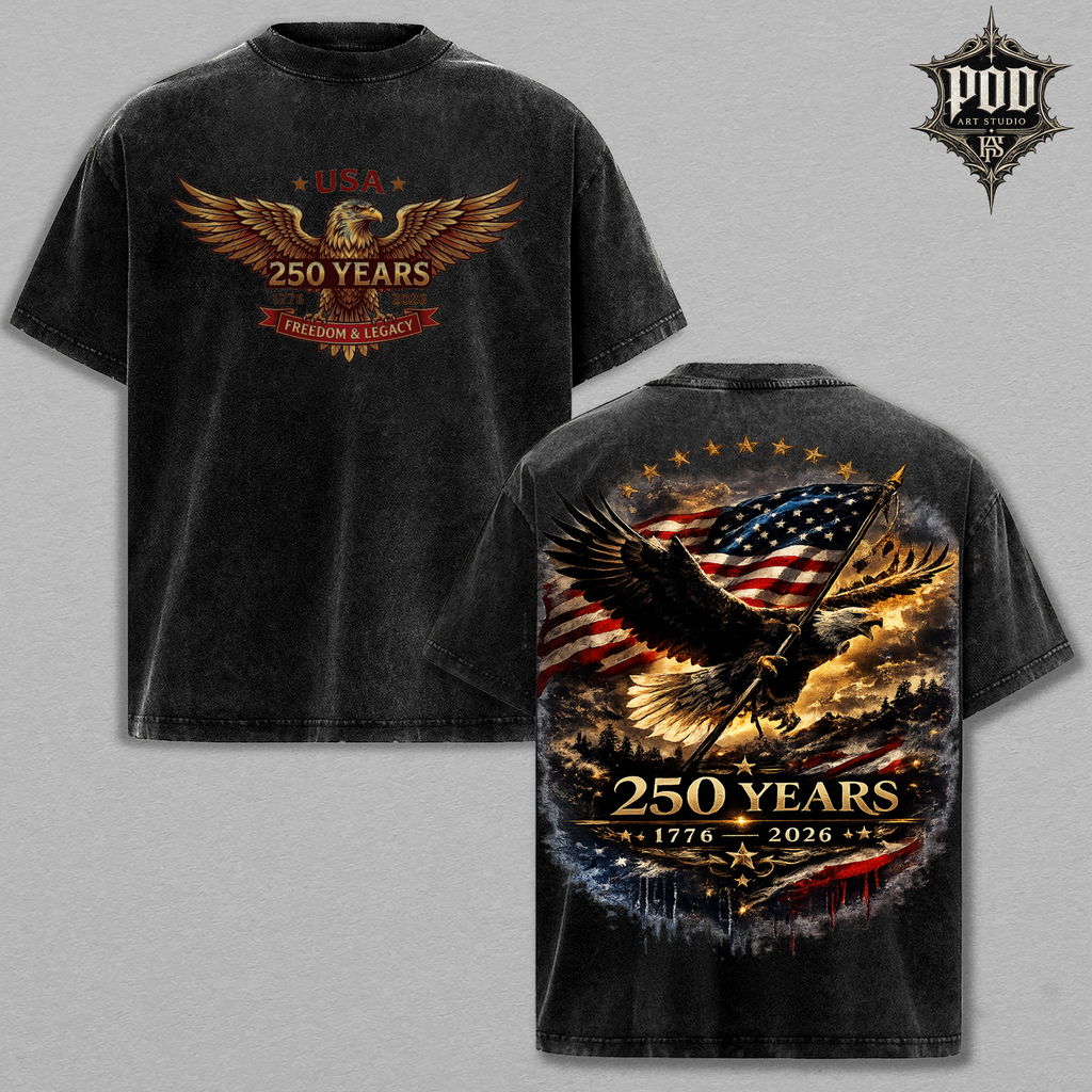 America 250 Years Semiquincentennial Heavyweight Vintage Tee